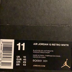 Jordan 12 winterized